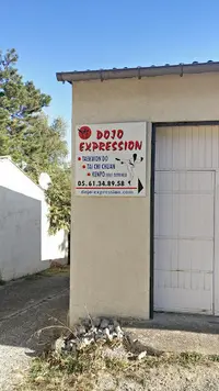 Dojo Expression