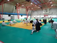 Espace Aïkido Taichi Chuan Toulouse