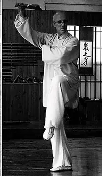 Tao Concept Tai Chi Toulouse