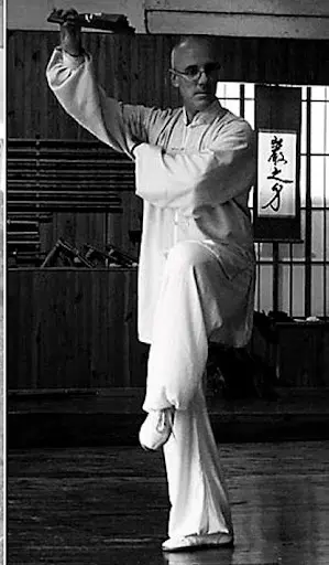 Tao Concept Tai Chi Toulouse