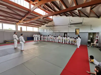 Toac Arts Martiaux Toulouse Judo / Jujitsu / Aïkido / Aero Kombat / Rem