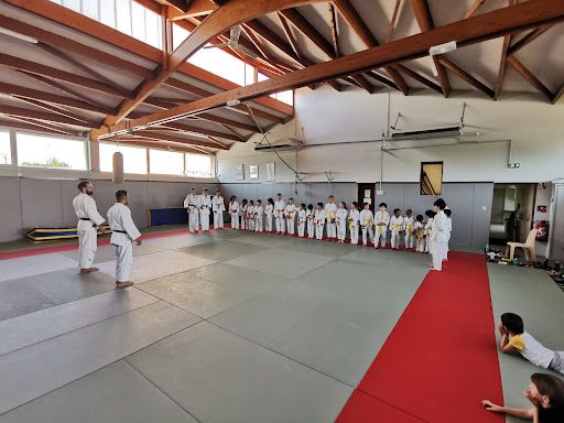 Toac Arts Martiaux Toulouse Judo / Jujitsu / Aïkido / Aero Kombat / Rem