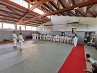 Toac Arts Martiaux Toulouse Judo / Jujitsu / Aïkido / Aero Kombat / Rem