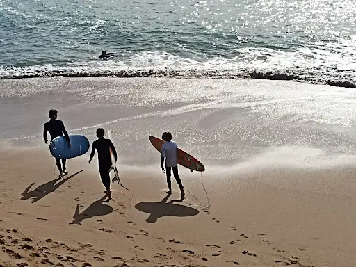 Ecole.surf - Guide Moniteur Côte Basque & Landes