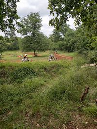 Ecole de Pilotage Shaun Vinel (easy Mx Training)