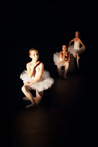 Danse Art Academy