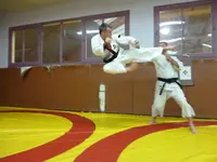 Vallet Shorinji Kempo