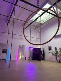 Pole Dance Butterfly Vaux le Penil