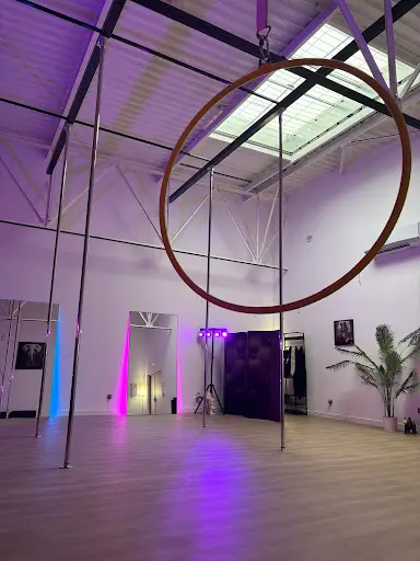 Pole Dance Butterfly Vaux le Penil