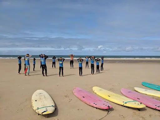 Oyat Ecole de Surf