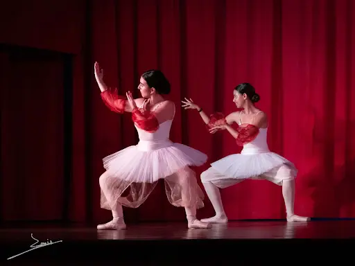 Ecole de Danse le Pas de 2 Villeneuve et Palau Del Vidre
