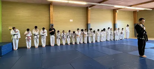 Taekwonkido Phénix