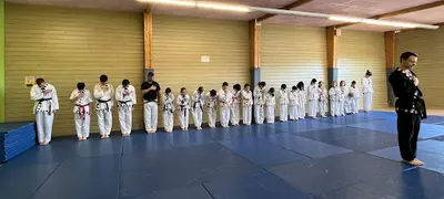 Taekwonkido Phénix