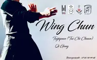 Wude / A.m.e.s. École de Wing Chun, Taijiquan, Boxe Chinoise (professeur Brice Amiot)