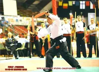 Kung Fu Hung Gar Lignée Chan Hon-chung