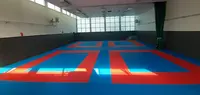 Vsj - Arts Martiaux (judo, Jiu-jitsu Brésilien Jjb , Taïso, Self-défense Féminine)