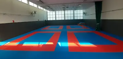 Vsj - Arts Martiaux (judo, Jiu-jitsu Brésilien Jjb , Taïso, Self-défense Féminine)