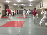 Ecole Française de Jujitsu et Self-défense Efjjsd