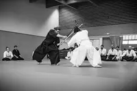 Kishinkaï Kenjutsu Voreppe