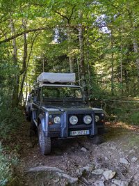 Vintage Driving